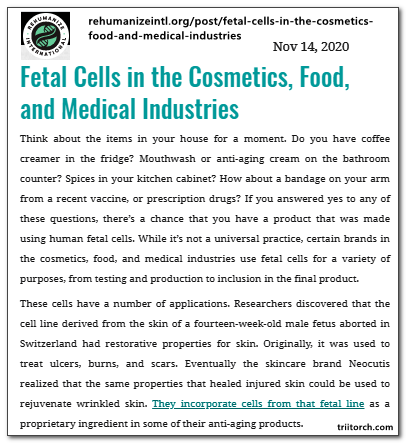 Fetal Cells In The Cosmetics Food And Medical Industries